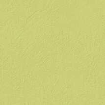 グリーン 塗り壁調 ウレタンコート 表面強化 防かび  サンゲツ FE76214 