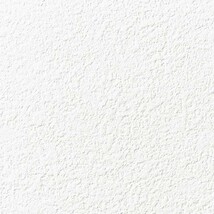 ホワイト 塗り壁調  防かび 抗菌 表面強化 撥水 消臭  サンゲツ FE76249 旧品番FE74656