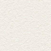 アイボリー 塗り壁調  防かび 抗菌 表面強化 撥水  サンゲツ FE76251 