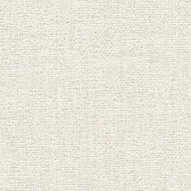 ベージュ 織物調  防かび 抗菌 表面強化 撥水  サンゲツ FE76269 