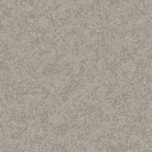 グレー 塗り壁調  防かび 抗菌 表面強化 撥水  サンゲツ FE76283 