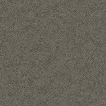 ダークグレー 塗り壁調  防かび 抗菌 表面強化 撥水  サンゲツ FE76284 