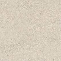 ベージュ 塗り壁調 ウレタンコート 防かび 抗菌 表面強化 撥水  サンゲツ FE76301 旧品番FE74624