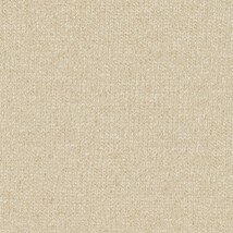 ベージュ 織物調 スーパー耐久性 汚れ防止 耐久 抗菌 表面強化 防かび  サンゲツ FE76407 