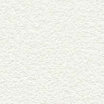 ライトアイボリー 塗り壁調  通気性 防かび  サンゲツ FE76445 