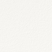 ホワイト 塗り壁調  防かび 抗菌  サンゲツ FE76489 旧品番FE74028