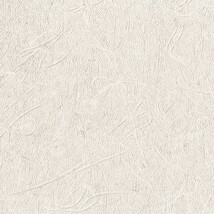 アイボリー 抽象デザイン ウレタンコート 表面強化 防かび  サンゲツ FE76516 旧品番FE74237