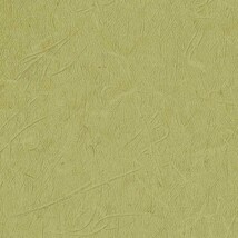 グリーン 抽象デザイン ウレタンコート 表面強化 防かび  サンゲツ FE76521 旧品番FE74239