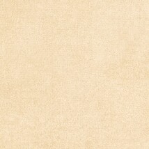 ベージュ 抽象デザイン  防かび 抗菌  サンゲツ FE78176 