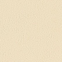 ベージュ 塗り壁調  防かび 抗菌 撥水  サンゲツ FE78237 