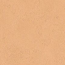 オレンジ 塗り壁調 ウレタンコート 防かび 抗菌 表面強化 撥水  サンゲツ FE78293 