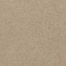 ブラウン 無地  防かび 抗菌  サンゲツ FE78361 旧品番FE76140