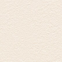 アイボリー 塗り壁調  防かび 抗菌 表面強化 撥水 消臭  サンゲツ FE78409 旧品番FE76237