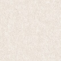 ライトグレー 塗り壁調  防かび 抗菌 吸放湿   サンゲツ FE78582 
