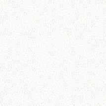 ホワイト 塗り壁調  防かび 抗菌  サンゲツ FE78610 