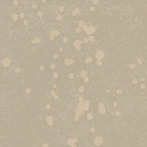 ブラウン 抽象デザイン  防かび  サンゲツ FE78779 