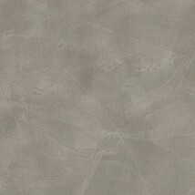 グレー  コンクリート・モルタル   防かび  リリカラ LL-6010 