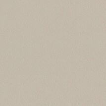 ライトグレー  塗り壁調 トップコート  防かび  リリカラ LL-6041 