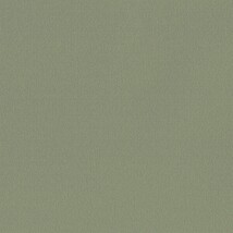 グリーン  塗り壁調 トップコート  防かび  リリカラ LL-6047 