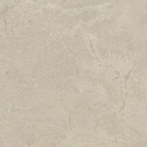 ライトグレー  コンクリート・モルタル   防かび  リリカラ LL-6116 