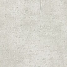 ライトグレー  コンクリート・モルタル トップコート  防かび  リリカラ LL-6130 旧品番LL-7257