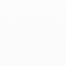 ホワイト  無地 トップコート  防かび 抗菌  リリカラ LL-6300 