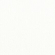 シャドーホワイト  無地 トップコート  防かび 抗菌  リリカラ LL-6305 