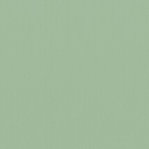 グリーン  無地 トップコート  防かび 抗菌  リリカラ LL-6307 