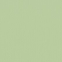 グリーン  無地 トップコート  防かび 抗菌  リリカラ LL-6311 