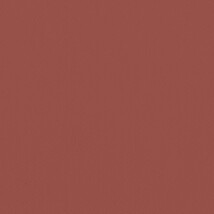 レッド  無地 トップコート  防かび 抗菌  リリカラ LL-6318 