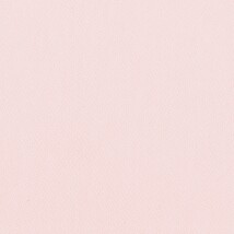 ピンク  無地 トップコート  防かび 抗菌  リリカラ LL-6321 