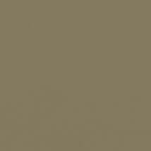 ブラウン  無地 トップコート  防かび 抗菌  リリカラ LL-6323 