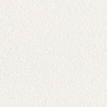 ホワイト  塗り壁調 トップコート  抗菌 表面強化 防かび  リリカラ LL-6349 