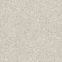 ライトグレー  塗り壁調 トップコート  抗菌 表面強化 防かび  リリカラ LL-6350 