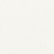 ライトグレー  塗り壁調   防かび  リリカラ LL-6351 