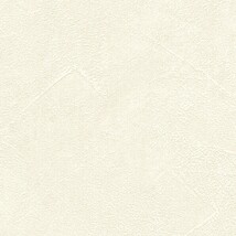 ホワイト  塗り壁調   防かび 抗菌  リリカラ LL-6353 