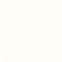 ホワイト  塗り壁調 トップコート  防かび  リリカラ LL-6357 旧品番LL-7710