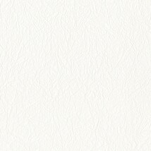 シャドーホワイト  織物調   防かび  リリカラ LL-6384 