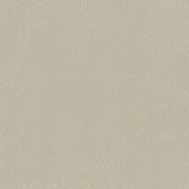 ライトグレー  塗り壁調   防かび  リリカラ LL-6391 