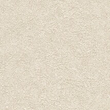 ライトグレー  塗り壁調 トップコート  防かび  リリカラ LL-6399 旧品番LL-7060