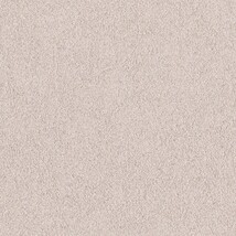 ライトグレー  塗り壁調   防かび  リリカラ LL-6421 