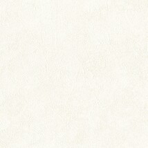 ホワイト  塗り壁調 トップコート  表面強化 防かび  リリカラ LL-6423 