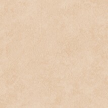 ライトブラウン  塗り壁調 トップコート  表面強化 防かび  リリカラ LL-6424 