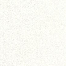 ホワイト  塗り壁調   防かび  リリカラ LL-6448 旧品番LL-7101