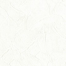 ホワイト  塗り壁調   防かび  リリカラ LL-6458 旧品番LL-7120