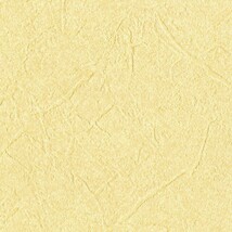 イエロー  塗り壁調   防かび  リリカラ LL-6461 旧品番LL-7122