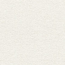 シャドーホワイト  塗り壁調   防かび 抗菌  リリカラ LL-6468 