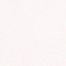 ホワイト  塗り壁調 トップコート  表面強化 防かび  リリカラ LL-6475 旧品番LL-7723