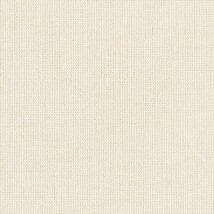 ベージュ  織物調   防かび 抗菌  リリカラ LL-6500 旧品番LL-7161