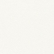 シャドーホワイト  織物調   表面強化 防かび  リリカラ LL-6526 